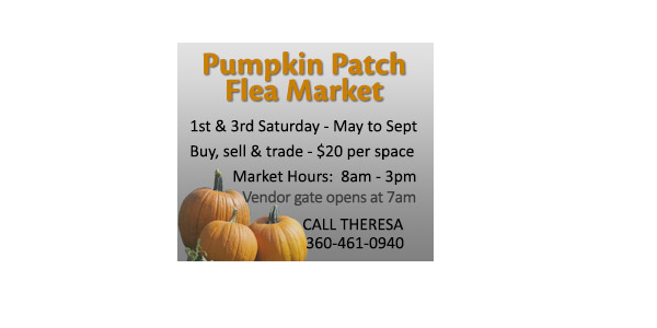 PUMPKIN PATCH Logo